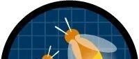 Salesforce Reactive Screen Flow